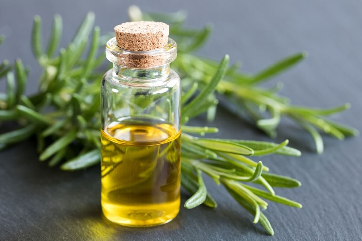 What is rosemary oil